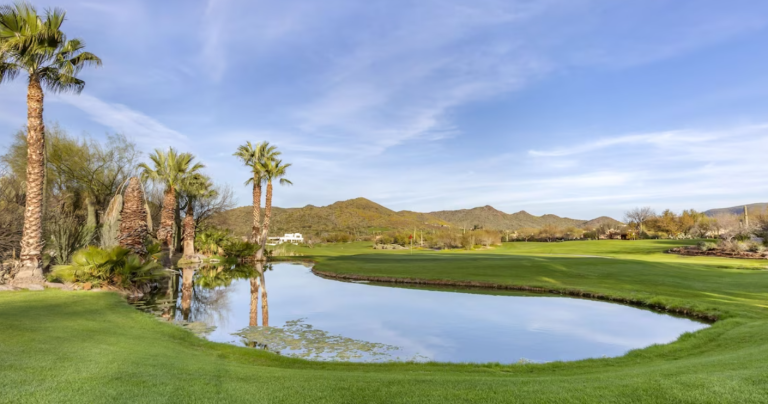 Screenshot 2023 07 01 122959 768x404