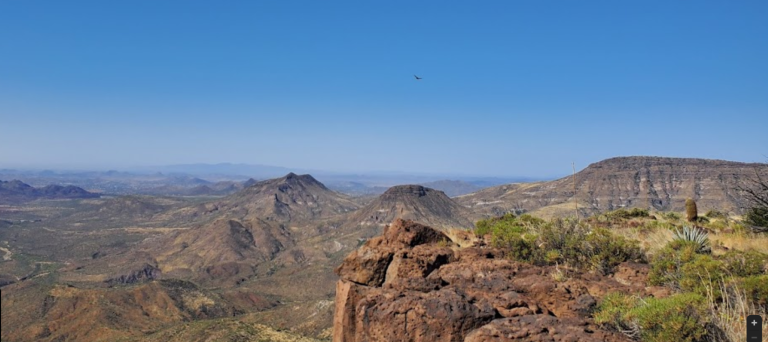 Spur Cross Top 768x342