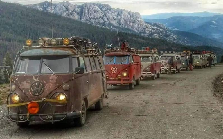 VW Buses 768x478